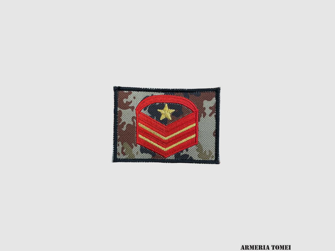 ARMÉE – RANG ÉRAFLURE CAPORAL MAJOR QUALIFICATION SPÉCIALE CAMOUFLAGE