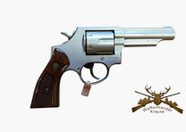 Taurus 82