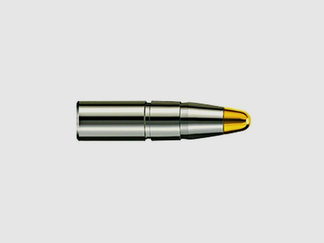 RWS BALLES 30 / 308 184 GRS / 11,9 G EVO 50 PCS, image 1 sur 4