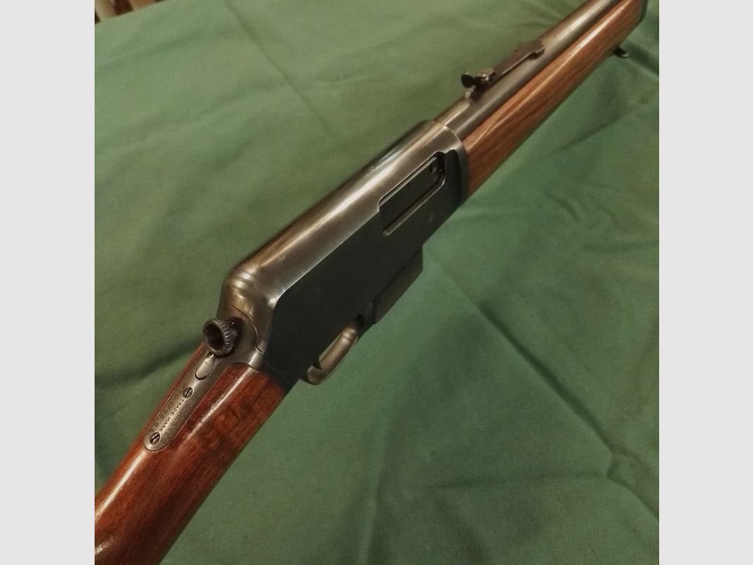 Winchester MOD 1905 Büchse, Bild 5 von 6