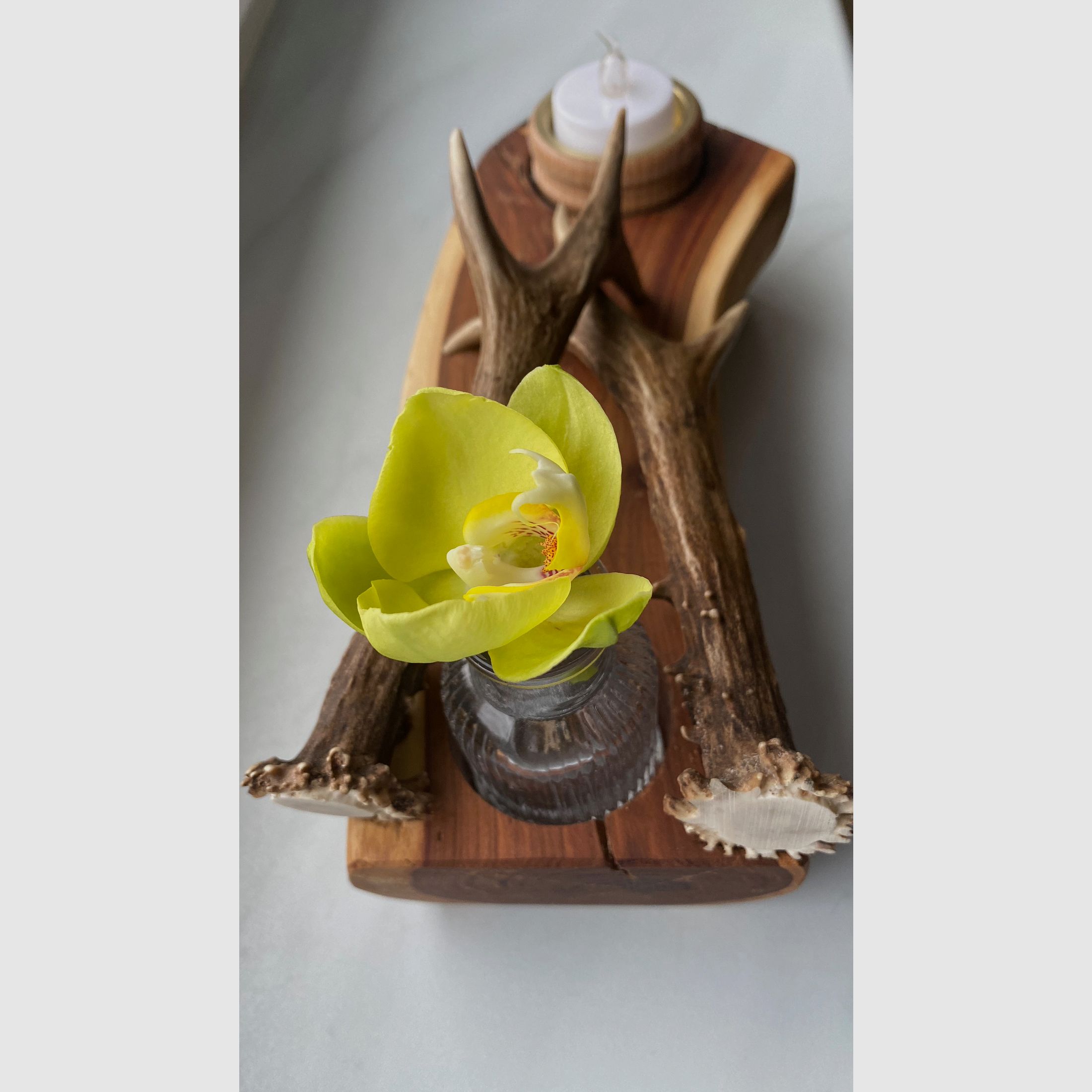 Tischdeko Deko Beleuchtung Vase Geweihstangen Holz