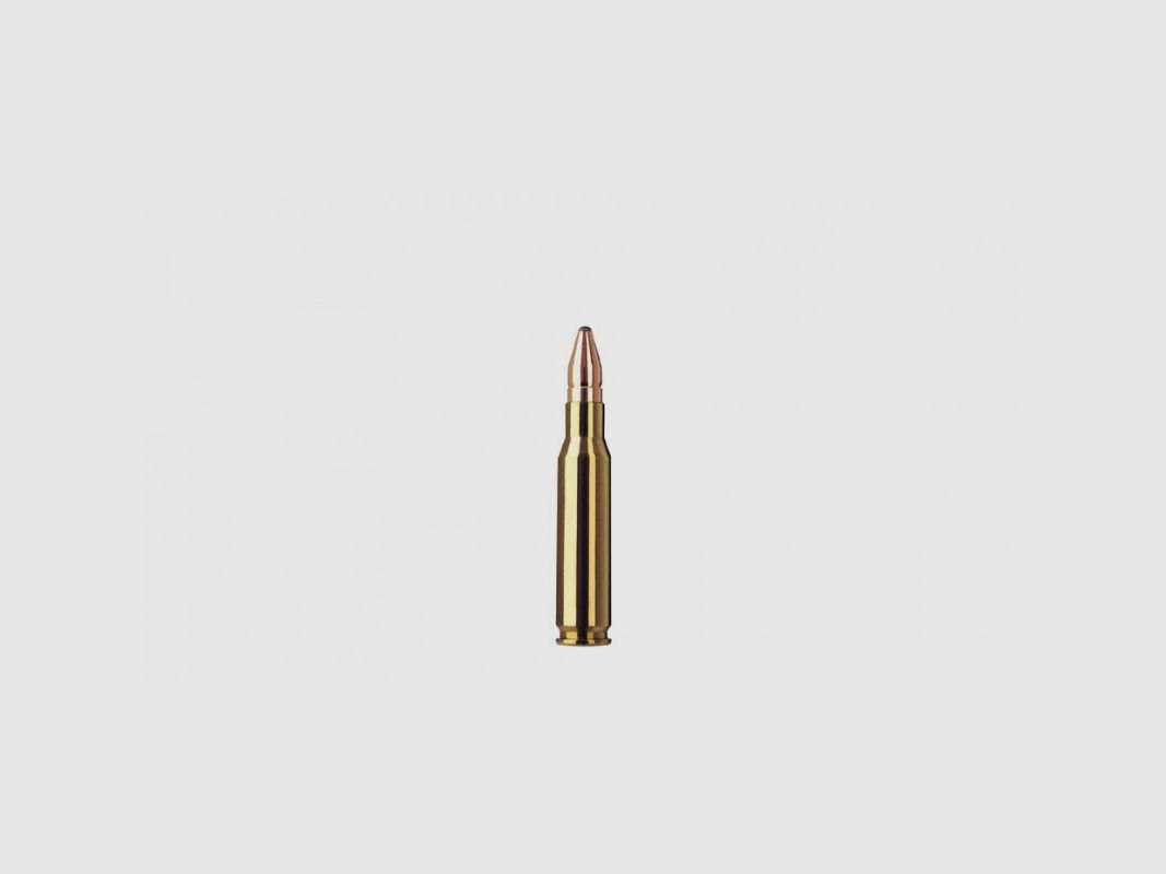 RWS 308 WIN 165 GRS / 10,7 G DOPPELKERN 20 STK, Bild 2 von 3