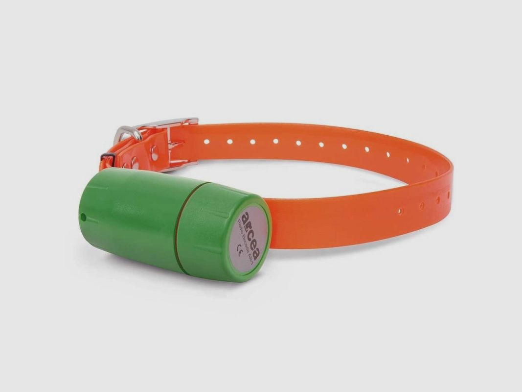 Becadencollar Conik, Bild 2 von 3