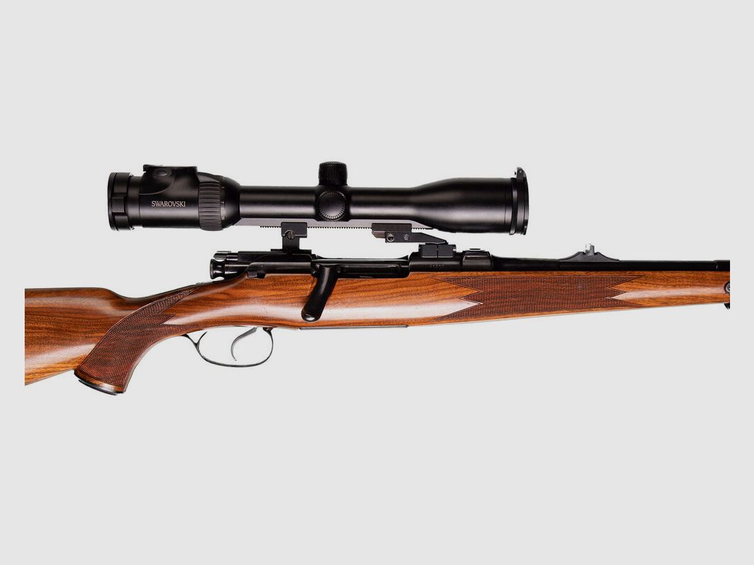 Steyr GK Custom