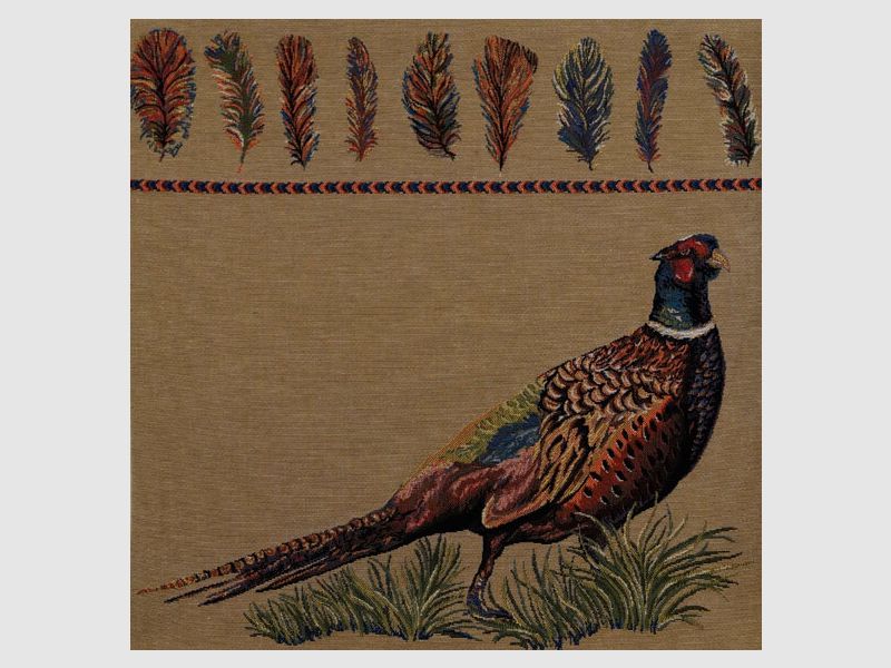 Cuscino Lovergreen Motivo Cuscino Fagiano + Illustrazioni di Piume