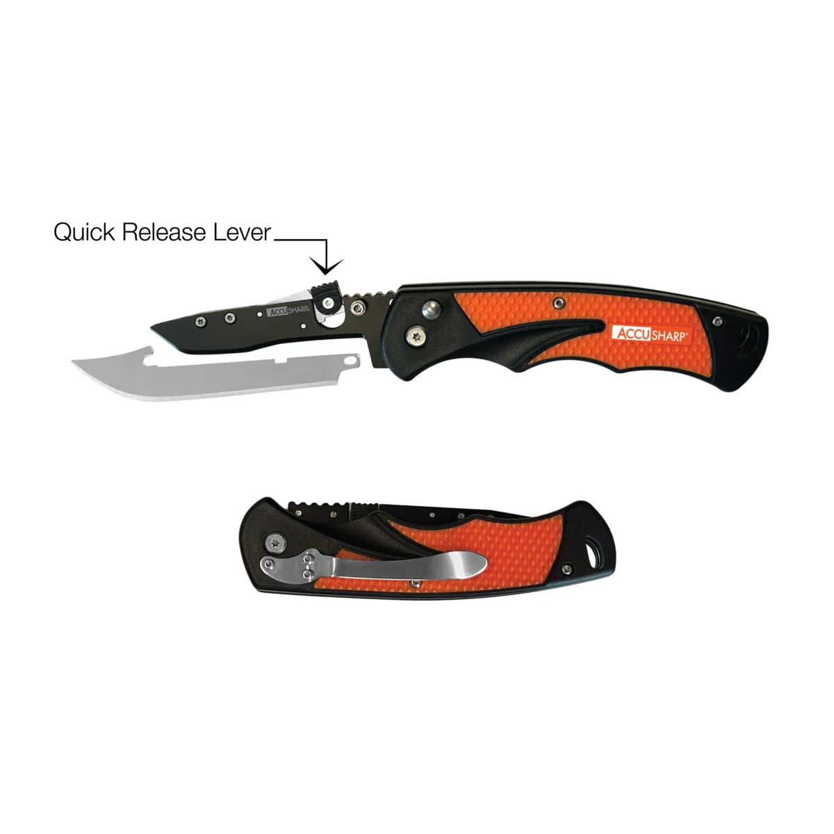 AccuSharp Razor Messer, orange, Bild 5 von 9