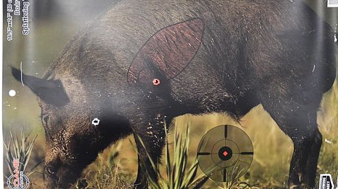 Birchwood Casey „Splatterschweine“ – Realistisches Training mit Sofort-Ergebnis