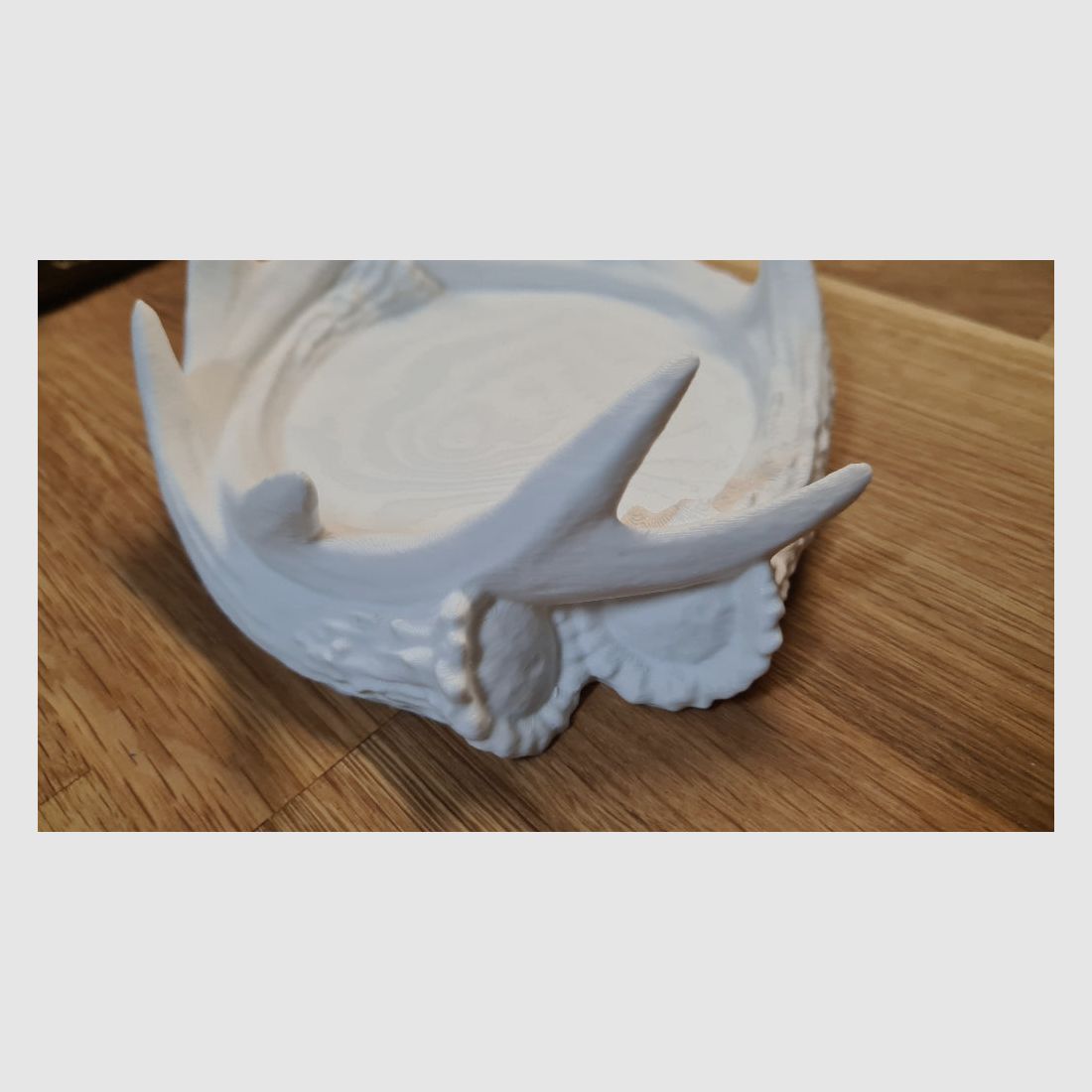 Deko-Schale "Abwurfstangen"