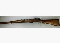 Schmidt Rubin G11