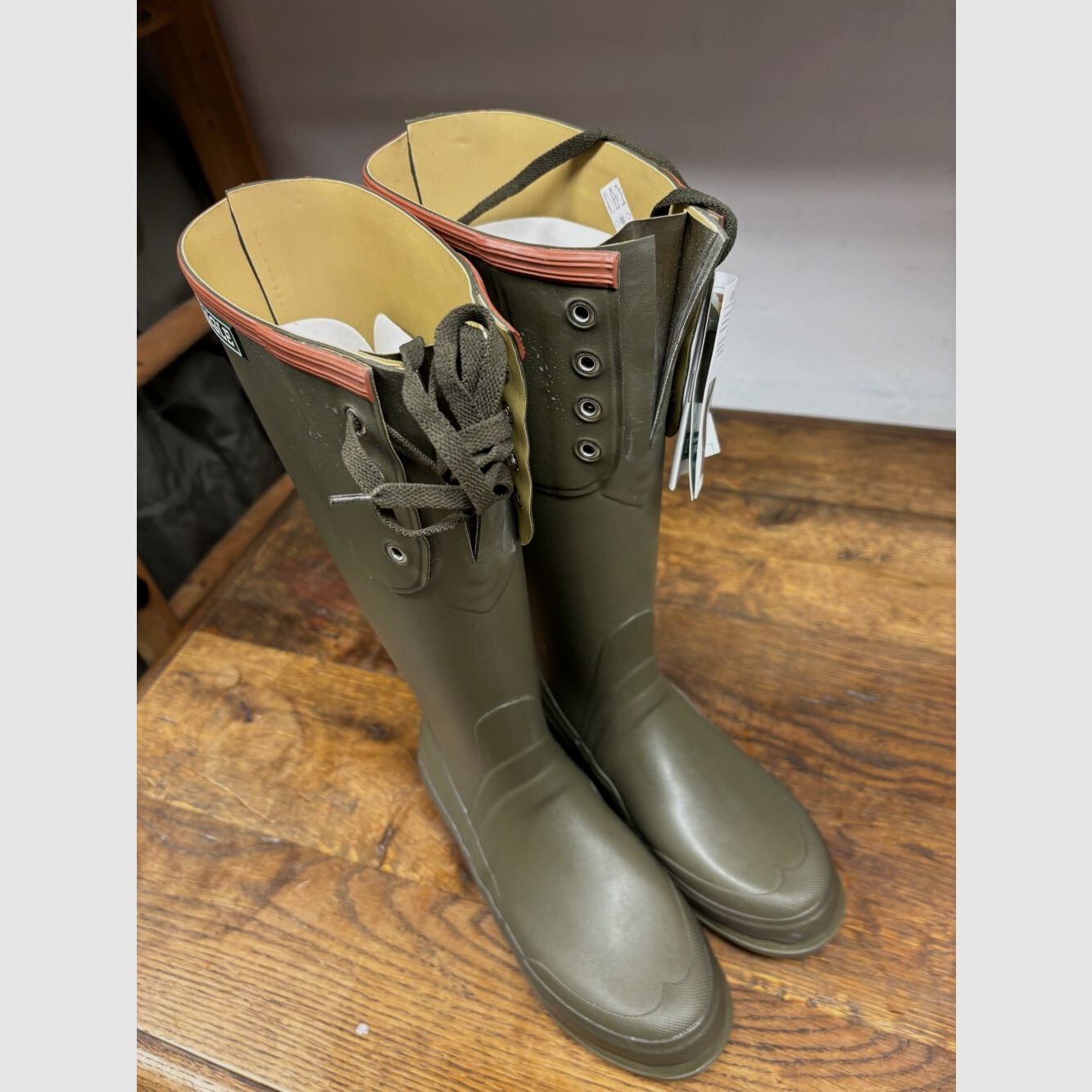 Aigle Nemrod