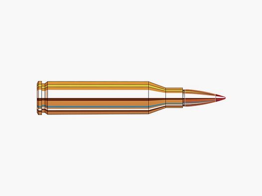 HORNADY 80463 AMMO SUPERFORM. LINE .243 WIN 95GR SST 20/200