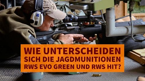 RWS Jagdmunition: Wie unterscheiden sich die Büchsenpatronen RWS EVOLUTION Green und RWS HIT?