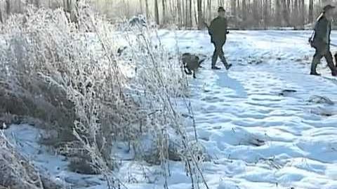 Erntetag im Niederwildrevier Wobbler Jagen   YouTube