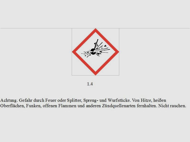 Trust Alarm - Knallpatrone - 250 Schuß