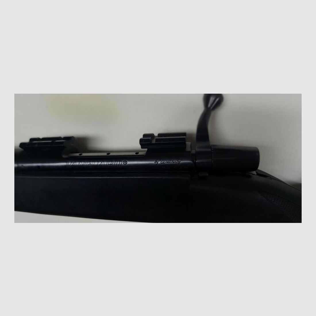 Weatherby Vanguard