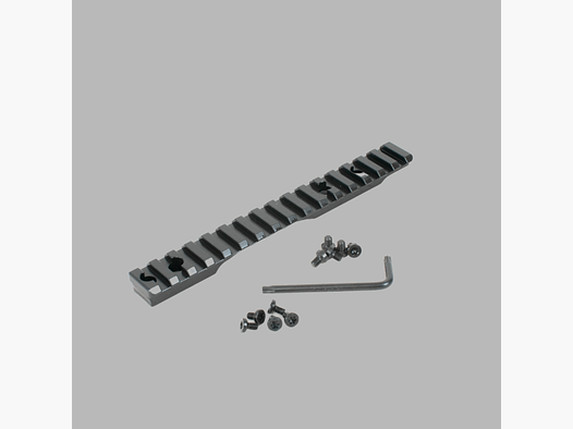 Rifle Doc Picatinny Weaver RAIL de acero Picatinny para BERGARA B14 SA (acción corta) - Tactical Especial