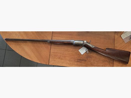 Roper Mod.1866