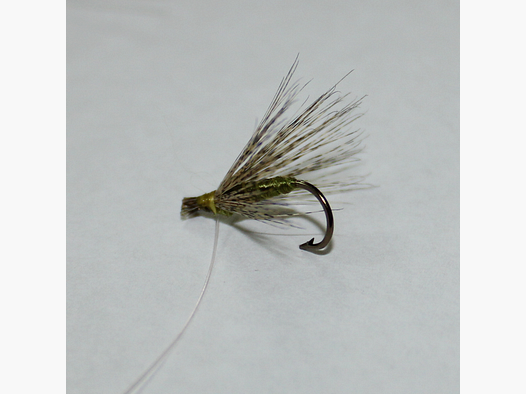 Olivengrüne Fliege