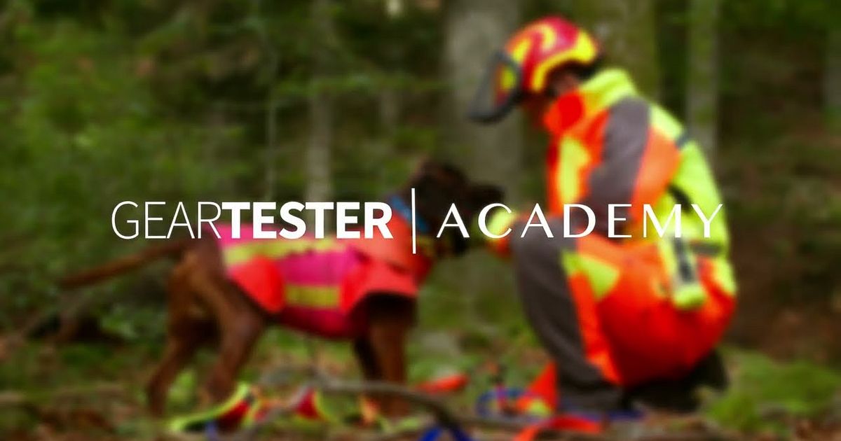 Geartester Academy Schweißarbeit für deinen Jagdhund - Geartester ...