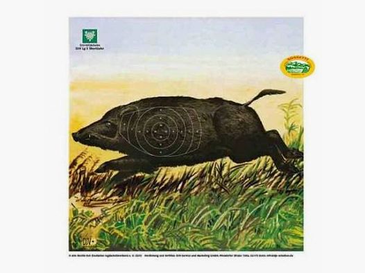 DJV Bersaglio Cinghiale