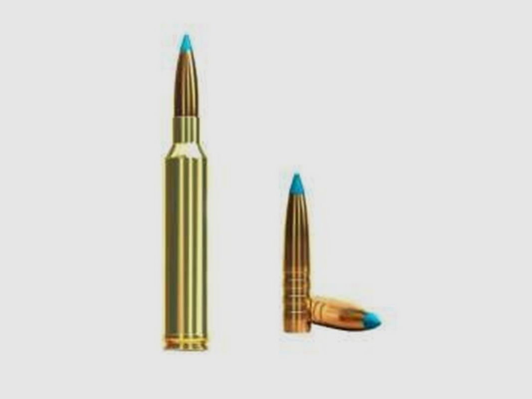 Sellier & Bellot Exergy TXRG Blue 30-06 180 gr Munition, Bild 2 von 2