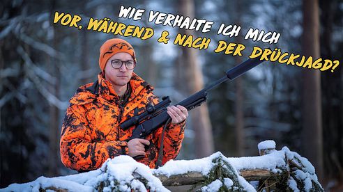 Wie verhalte ich mich vor, während & nach der Drückjagd?