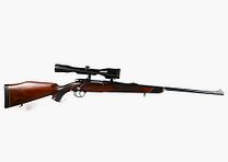 Sauer Weatherby Junior