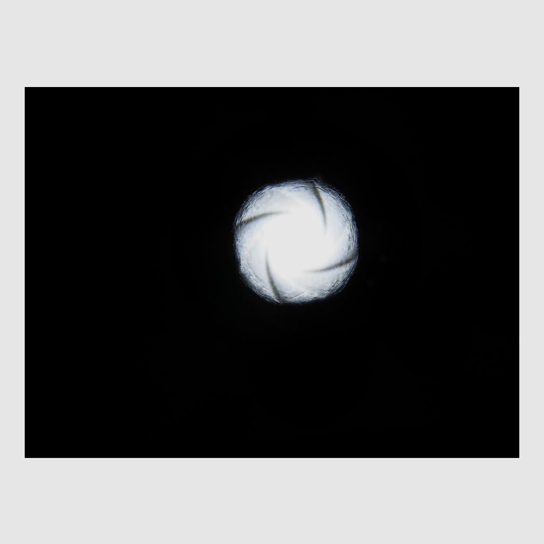 Steyr 1886 Kropatschek