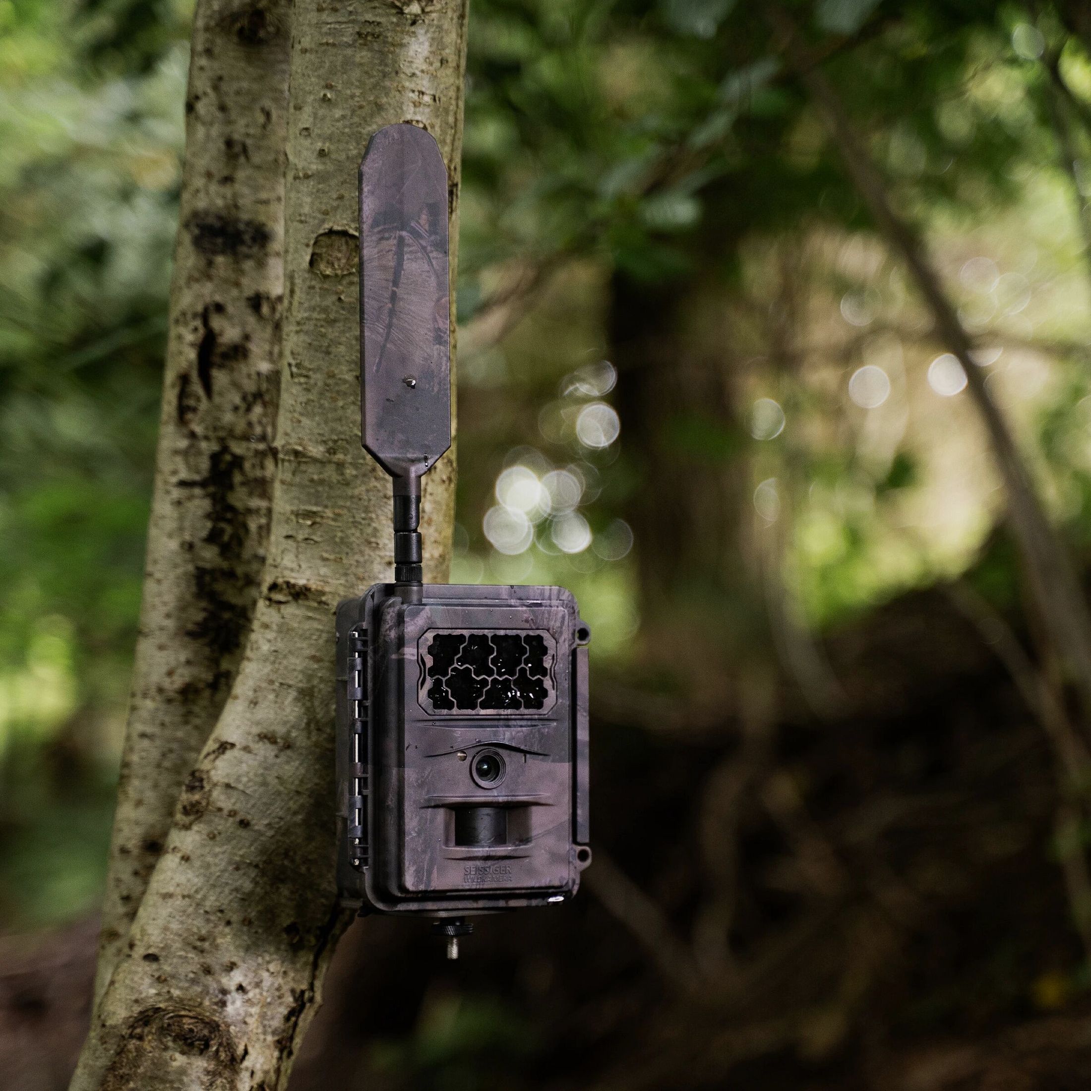 Seissiger Base-Cam LTE SUPERSIM-Edition inkl. Akkus