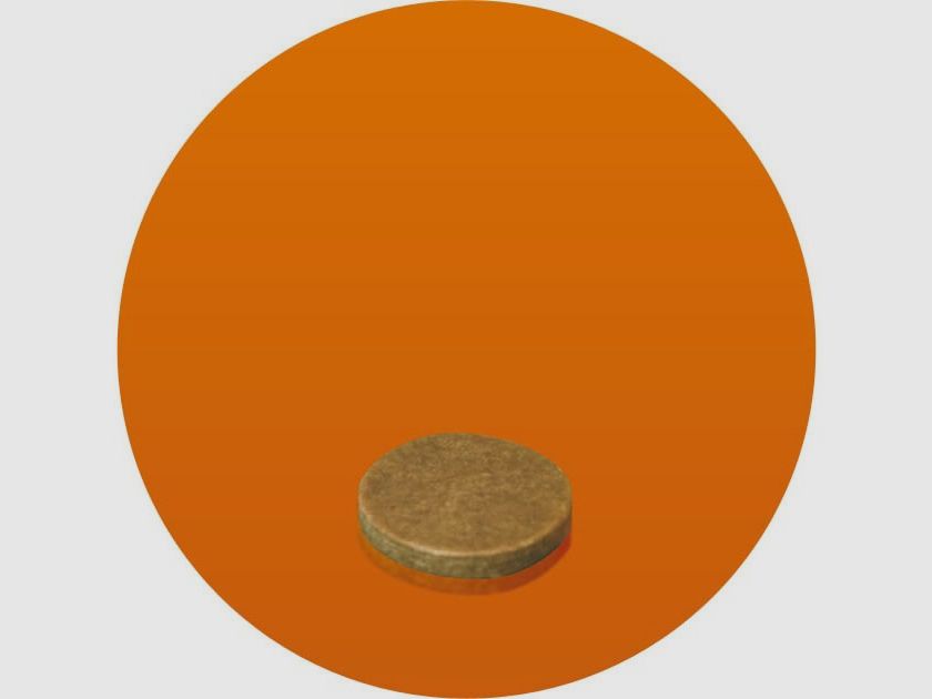 Diana .12 Cardboard Wads, 2mm (1000 pcs)