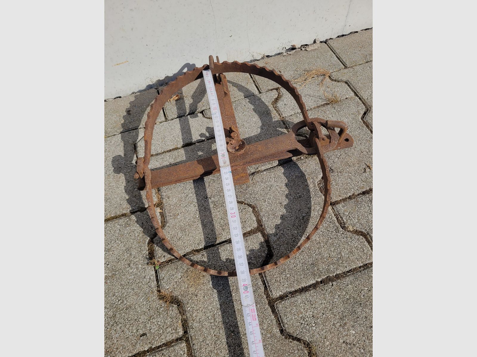 Bear trap decoration 48cm