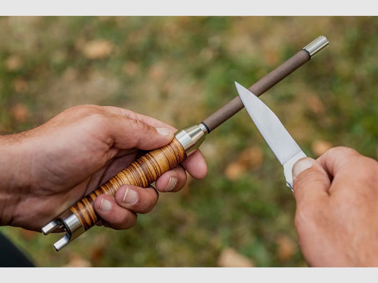 XADR ONE Profi Messerschärfer Zebrano Querholz