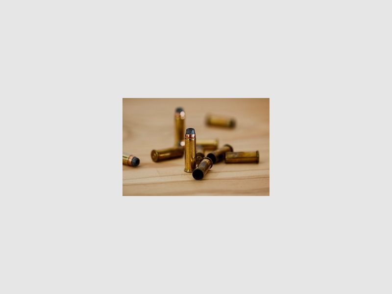 Mehr Munition der Jagdstube Bauer OG