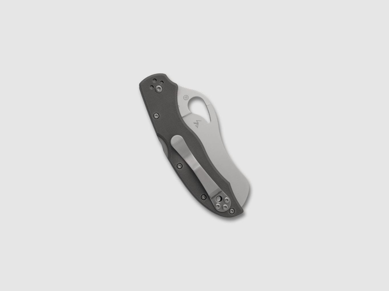 Spyderco Byrd Gooney Serrated Taschenmesser, Bild 2 von 3