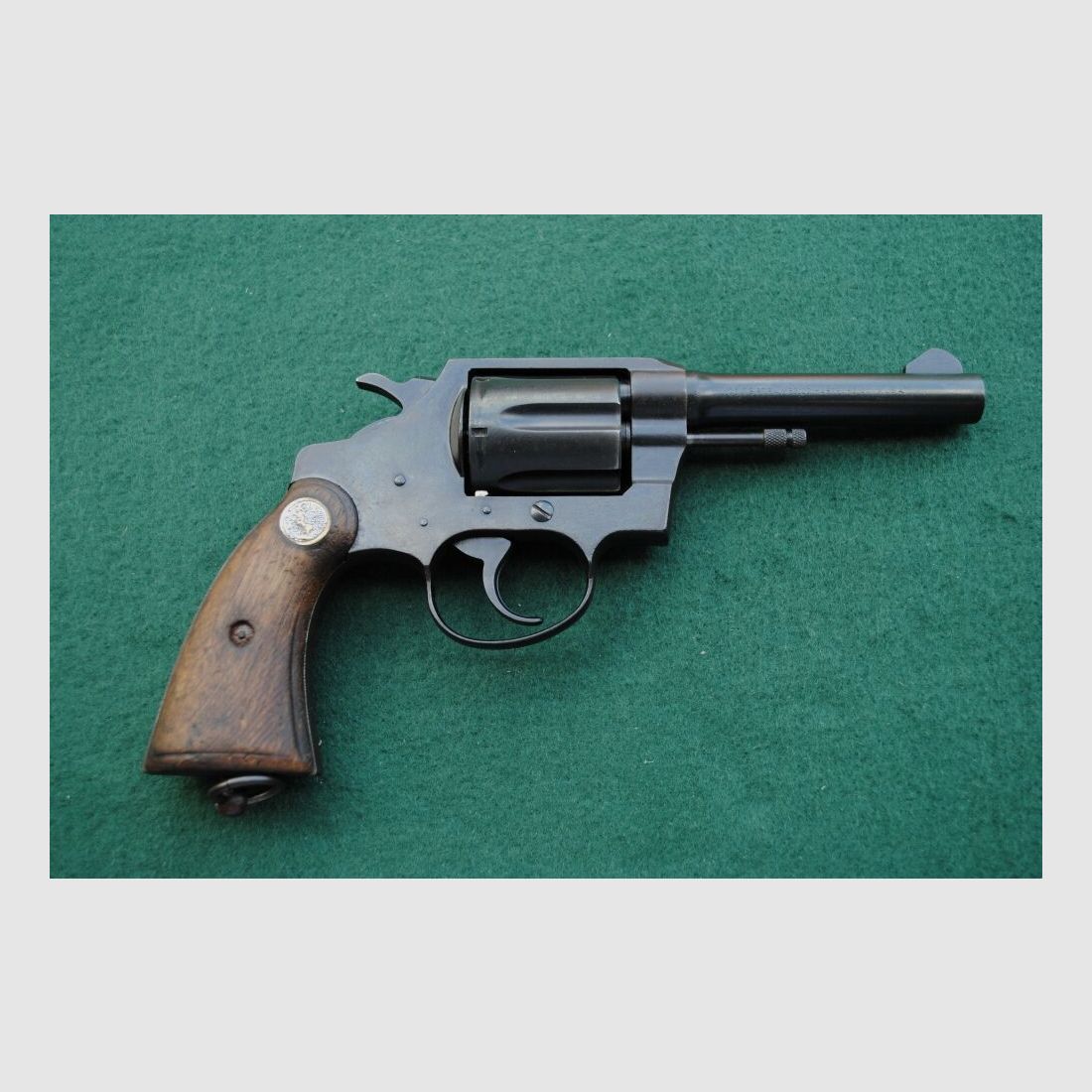 Colt Police Positive Special, Royal Hong Kong Police