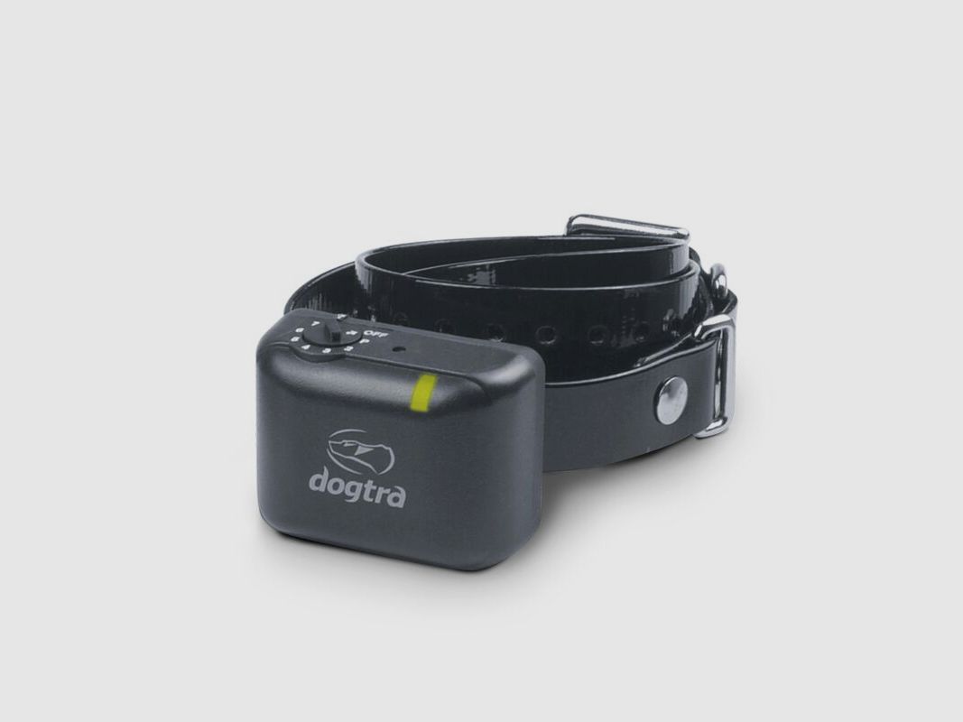 Dogtra Anti-Bell-Halsband YS300
