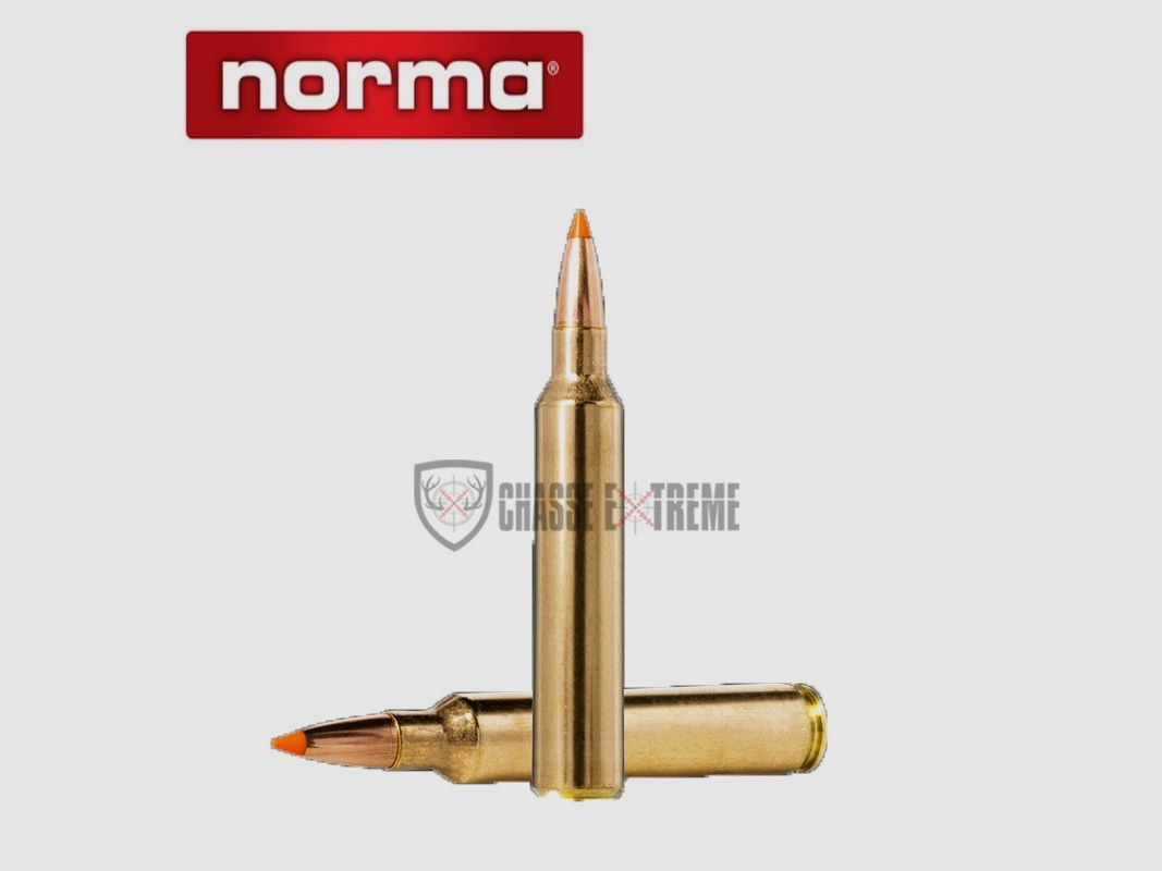 20 Munitions NORMA Cal 8X57JS 180gr Tipstrike