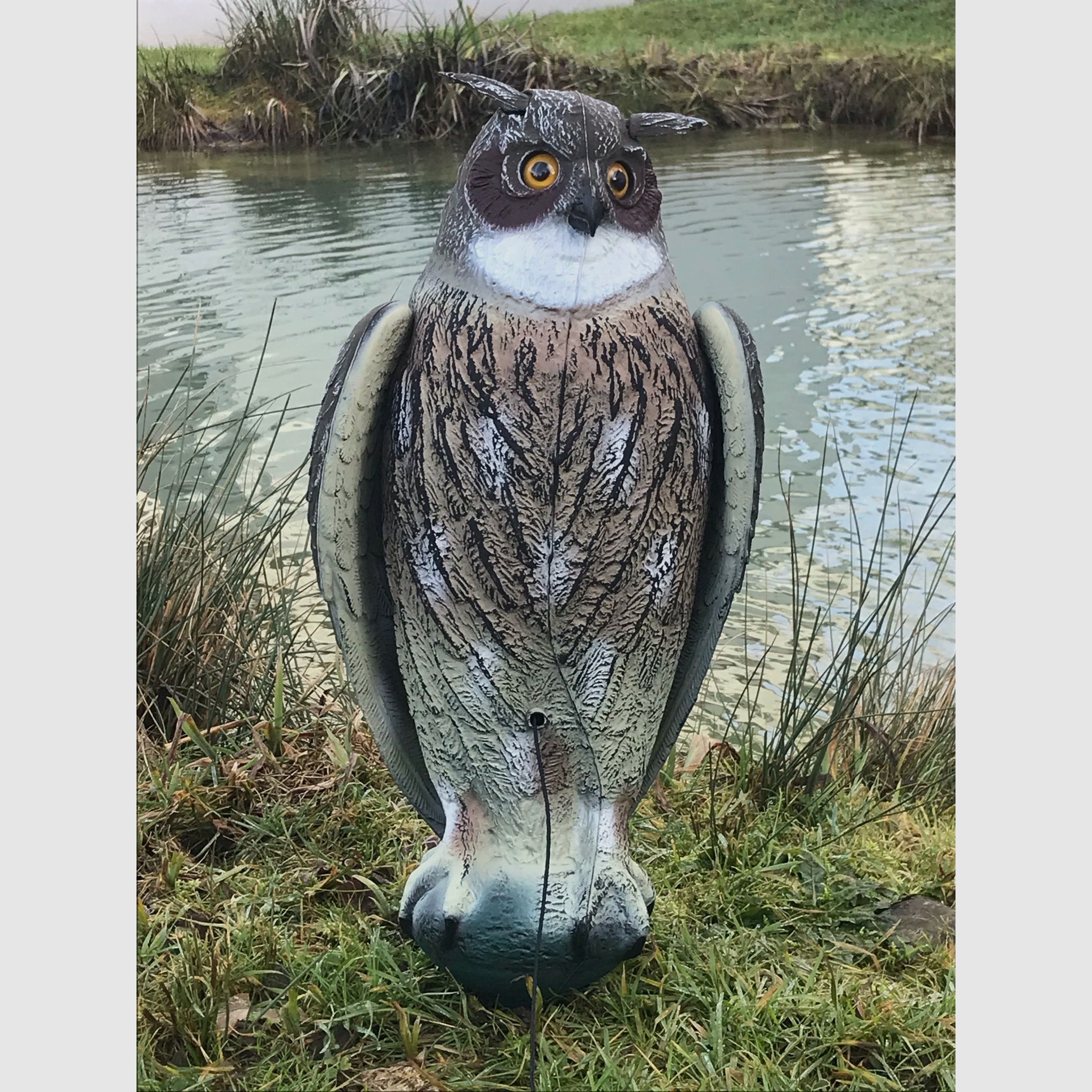 Hüttenuhu