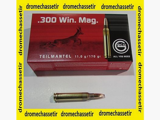 1 boite de 20 cartouches Geco, teilmantel (demi-blindée), 170 grains, calibre 300 Winchester Magnum