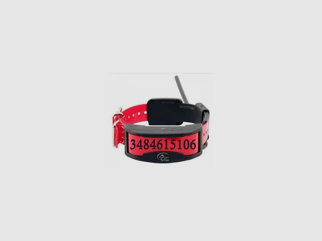 Collar Personalizado Tela Grabada - para Tek 1.5 – 2.0, imagen 2 de 11
