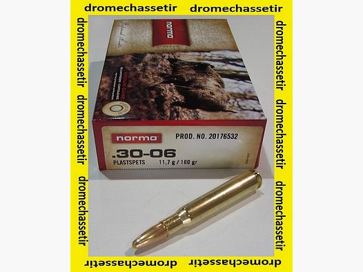1 Schachtel mit 20 Patronen Norma, Kaliber 30-06, Kunststoffspitze 180 Grain,