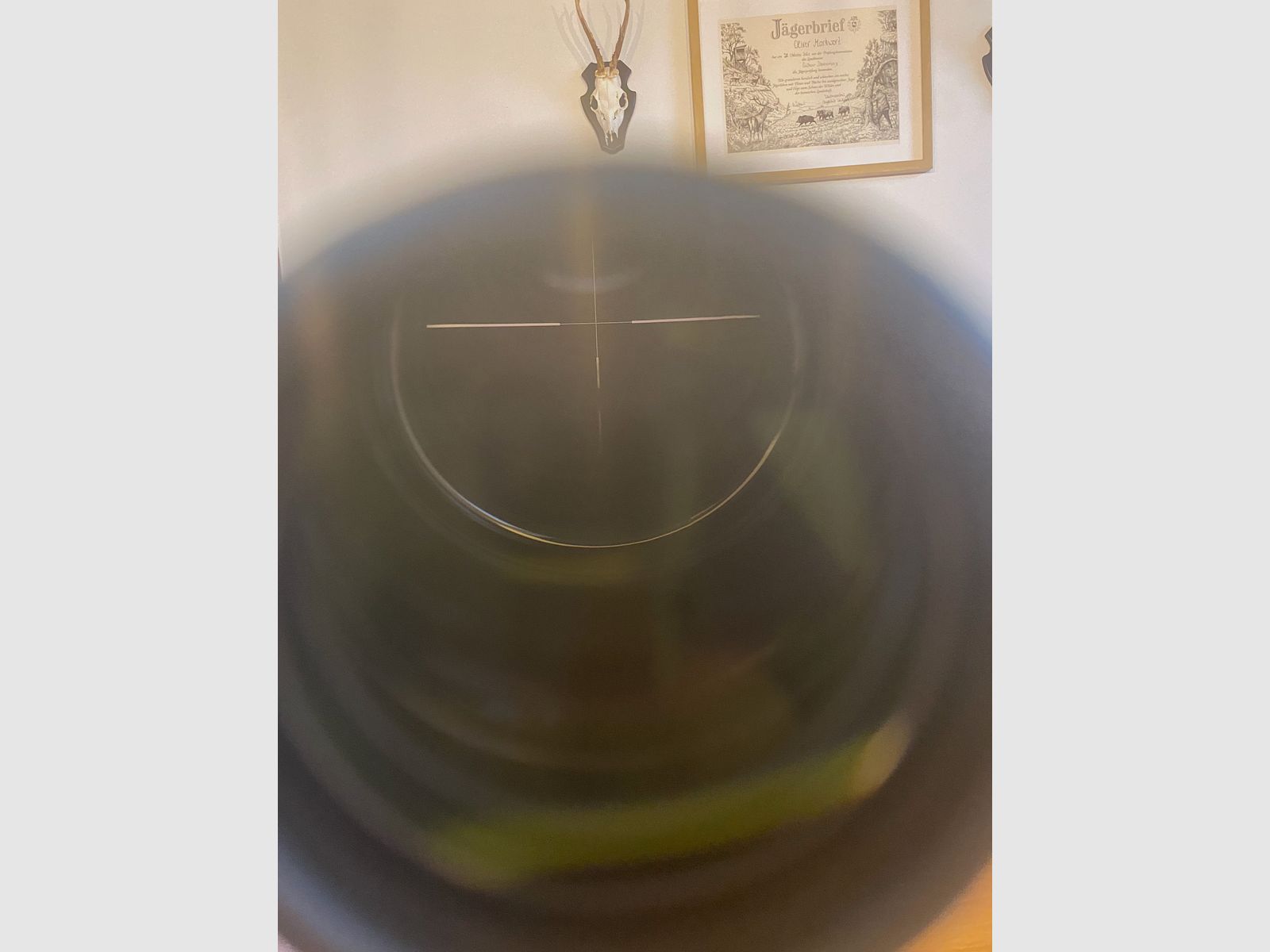 Swarovski Z4i 2.5-10 x56