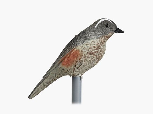 Mavis Thrush Vorm Stepland