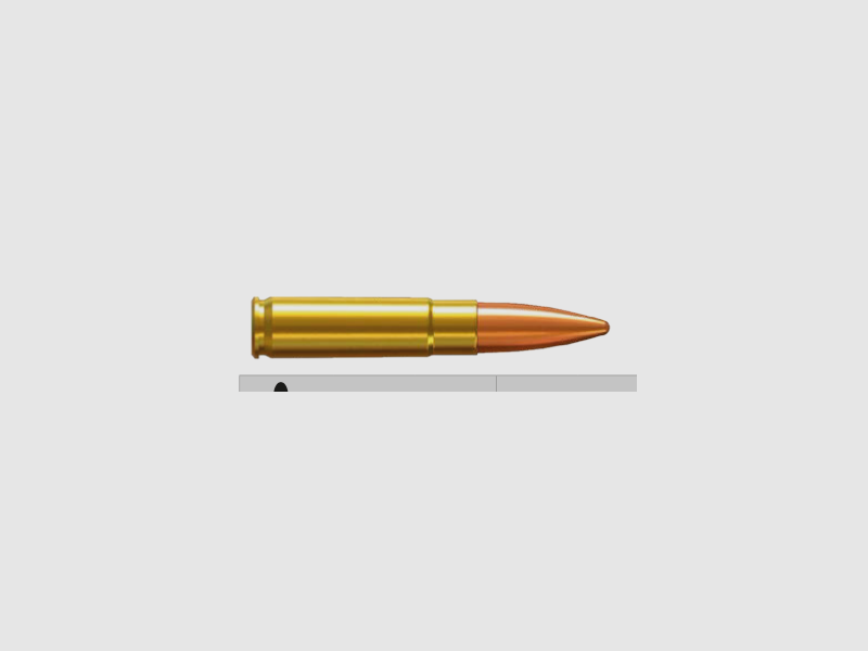 Partizan 300 AAC Blackout FMJ 125gr