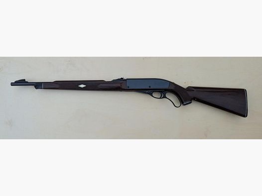 Nylon 76 Remington .22lr, carabina a leva inferiore