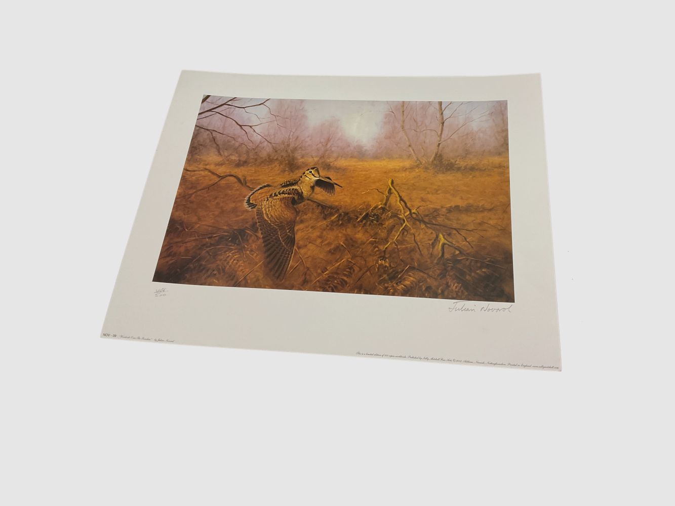 JULIAN NOVAROL – STEMPLES FÜR QUADRI „BECCACCIA“, Bild 3 von 4