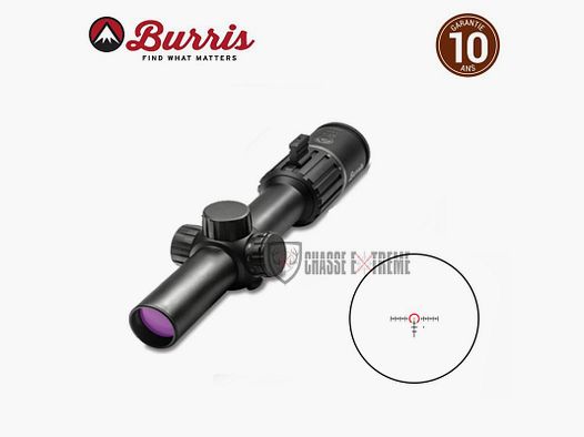 Lunette BURRIS Rt6 1-6x24 Ballistic Ar