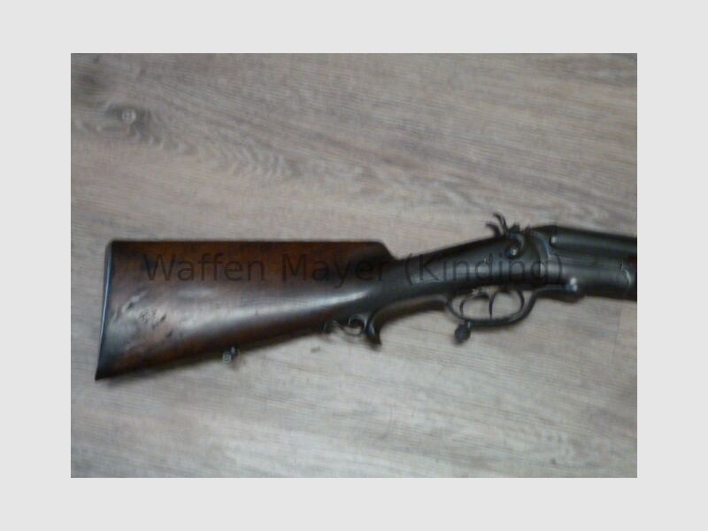 escopeta de perro desconocida