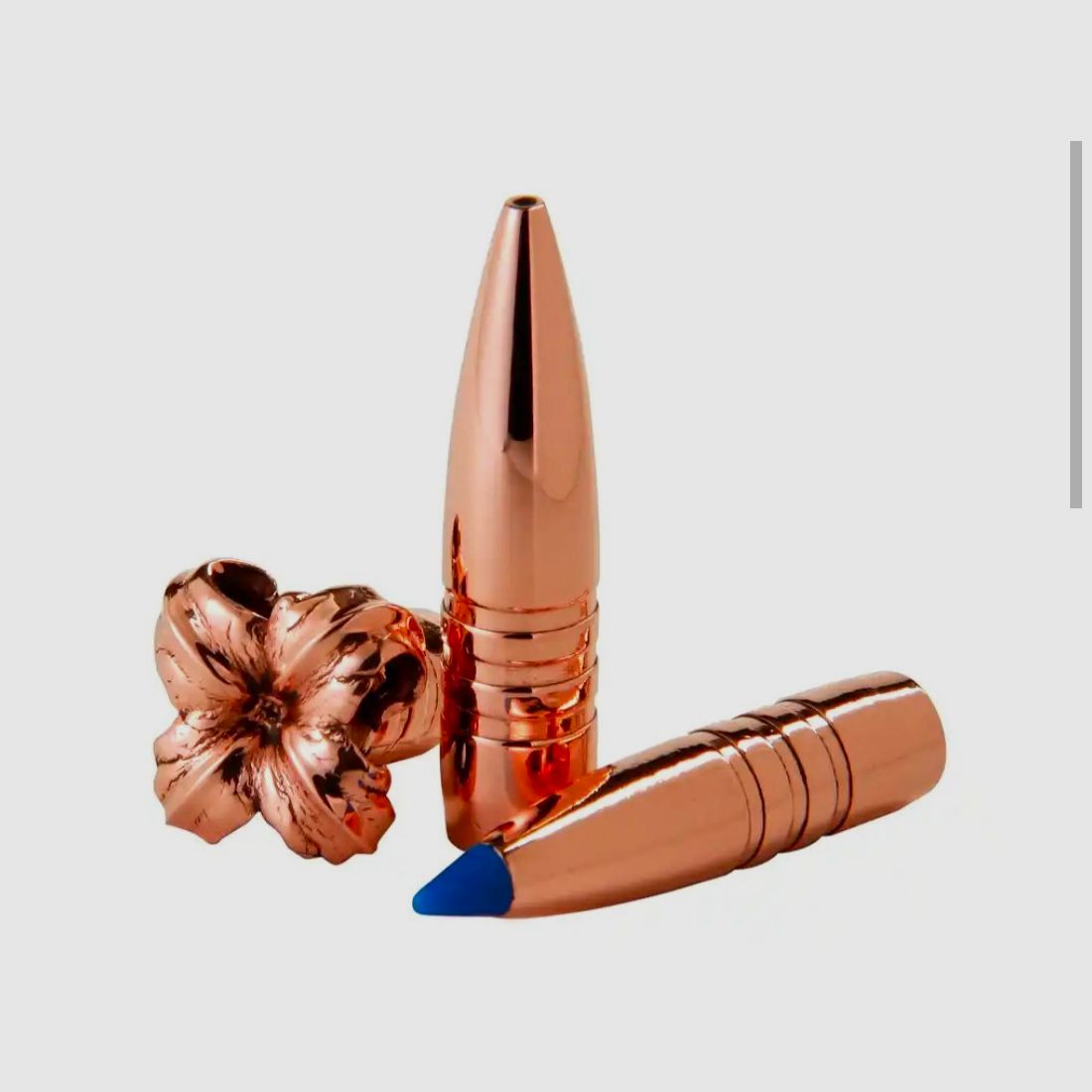 BARNES TTSX 150gr .308 50 Geschosse (20 Packungen verfügbar)