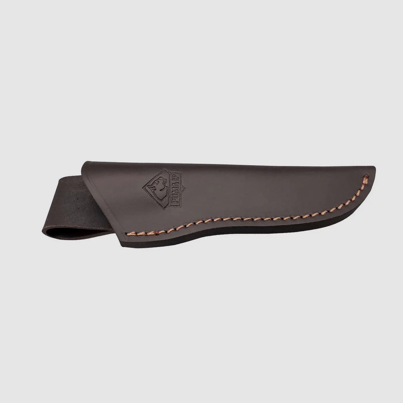 PUMA IP accipiter gentilis